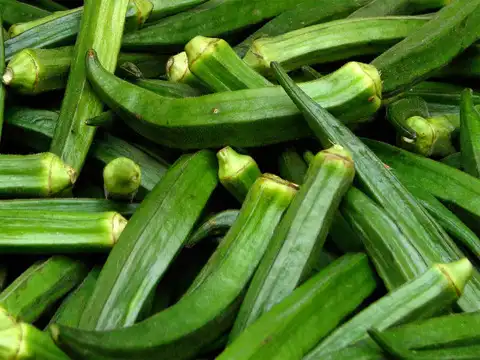 Okra (Bhindi)