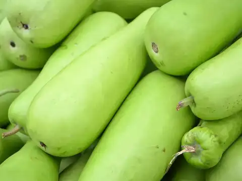 Bottle Gourd (Lauki)