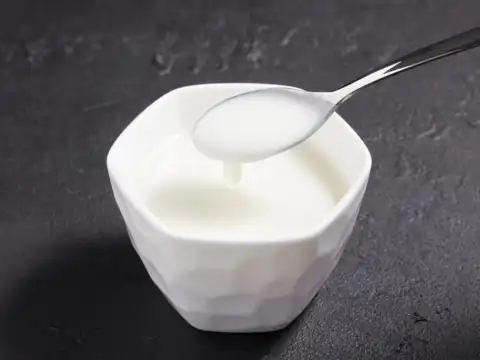 Fresh Yogurt (Dahi)-Probiotic Punch 