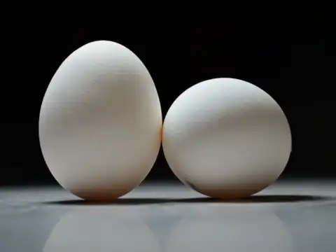  Eggs-Protein-Packed Start