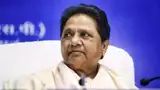 Discussion on Operation Sindoor should be approached by 'rising above partisan politics': Mayawati