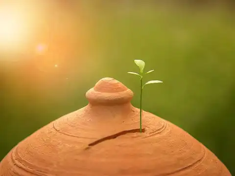 Give It Care and Time