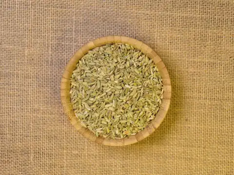Fennel Seeds
