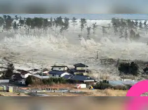 Japan earthquake 2025 effects and responses
