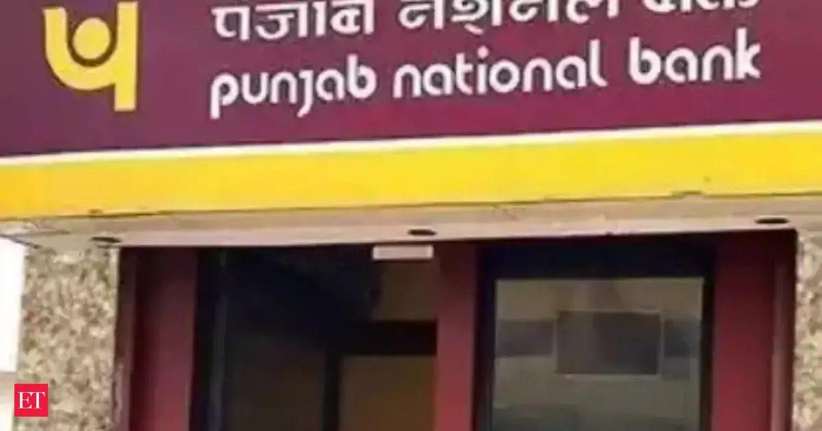 PNB to focus on project financing to revive business loan growth, CEO says