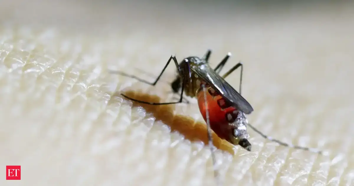 Canada’s first West Nile case in 2025; what to watch for and how to stay safe