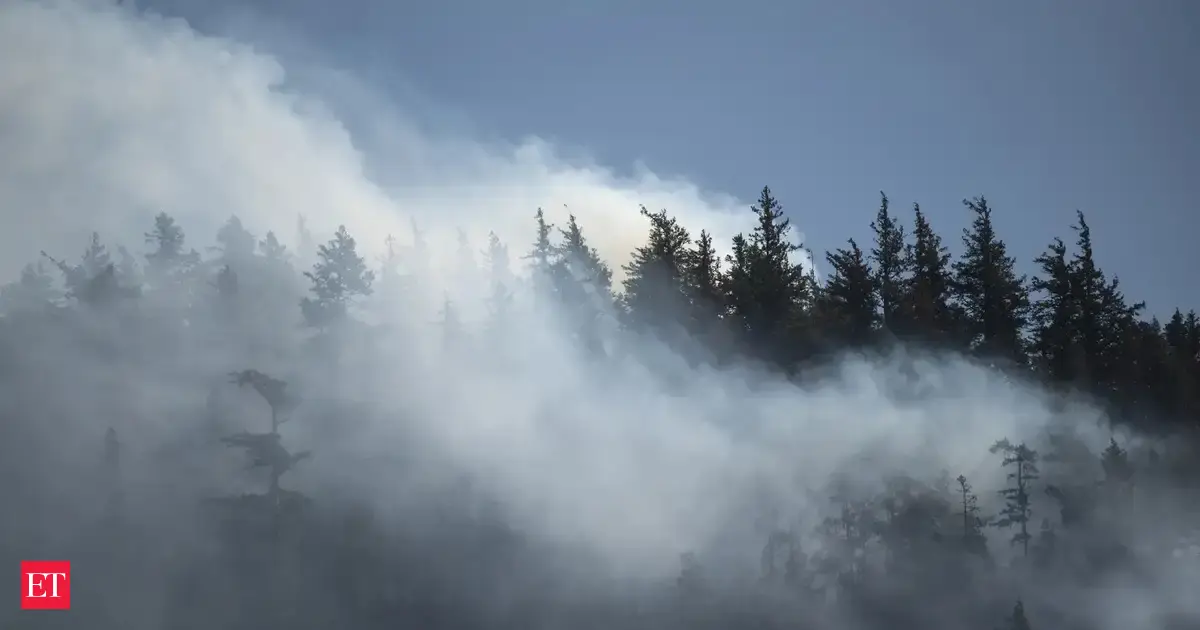 Wildfires in BC double overnight after massive lightning storms spark dozens of new blazes across the province