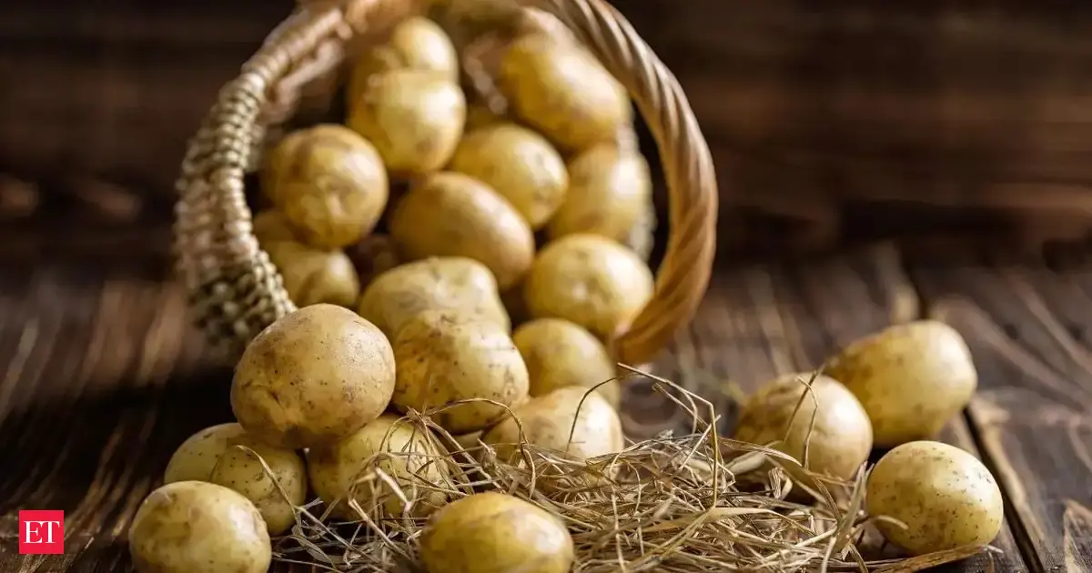 The potato’s secret past: Scientists uncover ancient botanical romance that changed the world