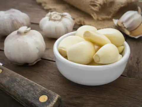 Garlic
