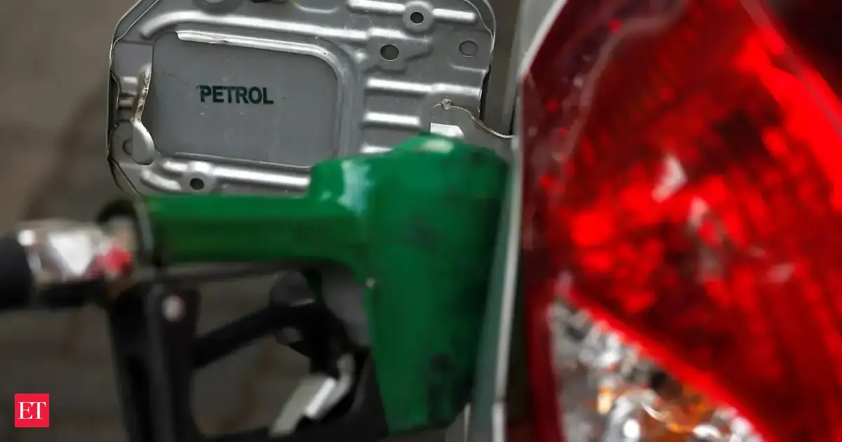 Govt says 20% ethanol blended petrol doesn't have any negative impact on older vehicles