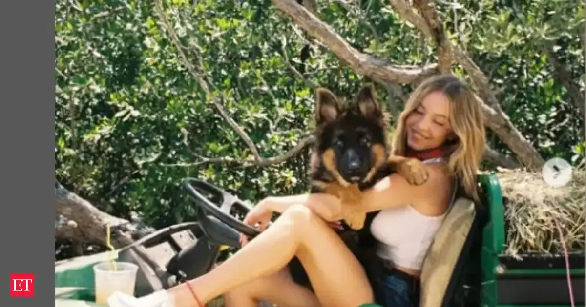 'Swastika Sweeney': Sydney Sweeney's German Shepherd now called a Nazi pet amid American Eagle controversy