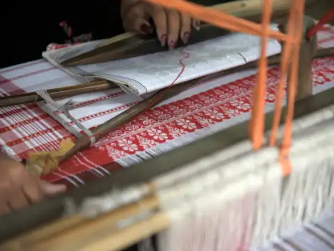 Muga silk from Assam