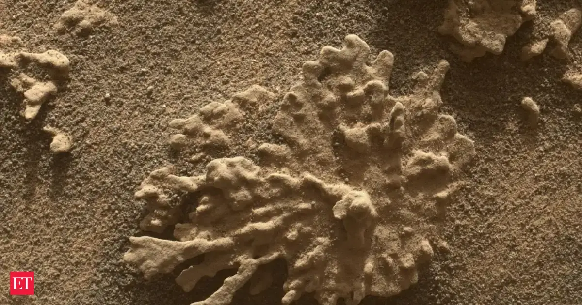 Shocking Discovery: Mars Rocks Resemble Earth Coral! What Does This Mean?