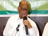 ECI should look into Rahul Gandhi's 'vote theft' presentation: Sharad Pawar