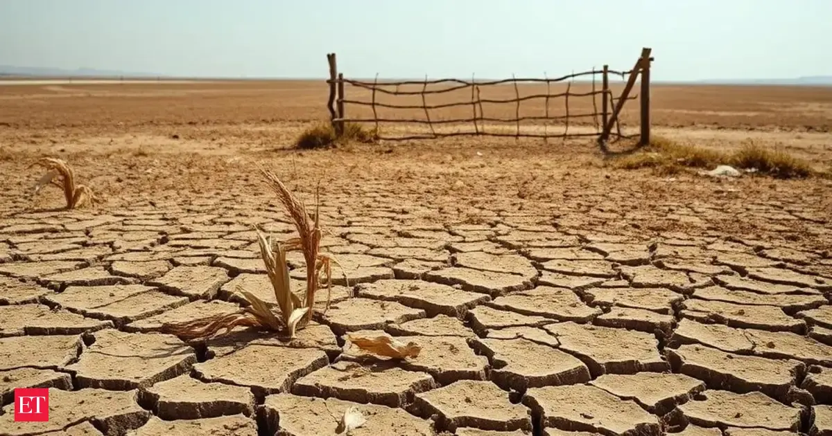 Eastern Canada faces growing drought crisis after dry start to summer ...