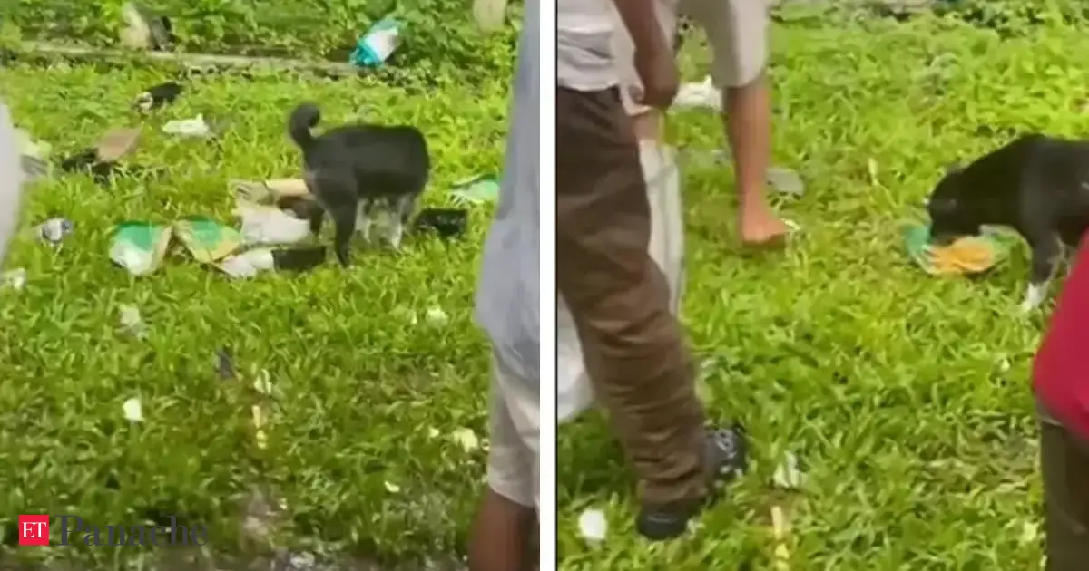 Arunachal man slams littering Assam tourists in viral video, sparks ‘not your dustbin’ campaign