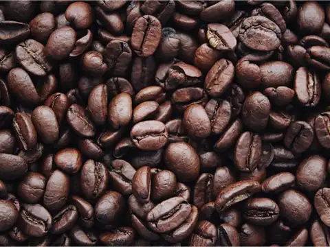 Time Caffeine, Alcohol, and Fizzy Drinks