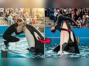 Jessica Radcliffe: What Really Happened In The Viral Orca Video? - 5tu0ro7