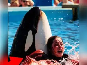 Justice for Jessica: Who is marine trainer Jessica Radcliffe? Here's a ...