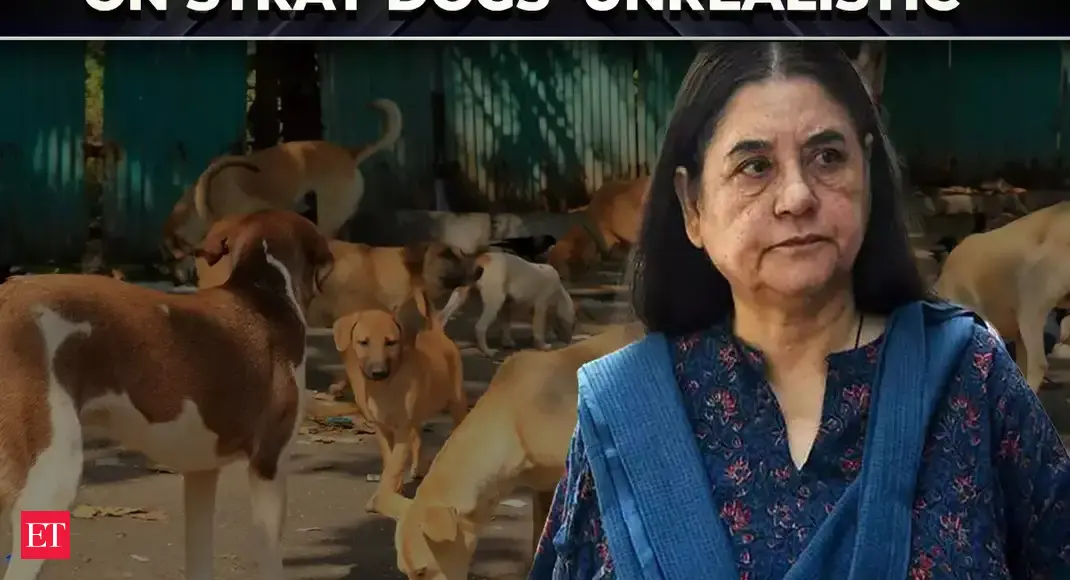Maneka Gandhi Slams Supreme Court's Stray Dog Order as 'Unrealistic' and 'Angry'
