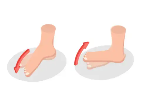 Ankle circles