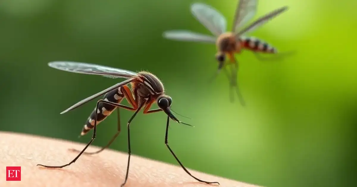China’s Chikungunya Crisis: Are Insect Control Methods Enough?