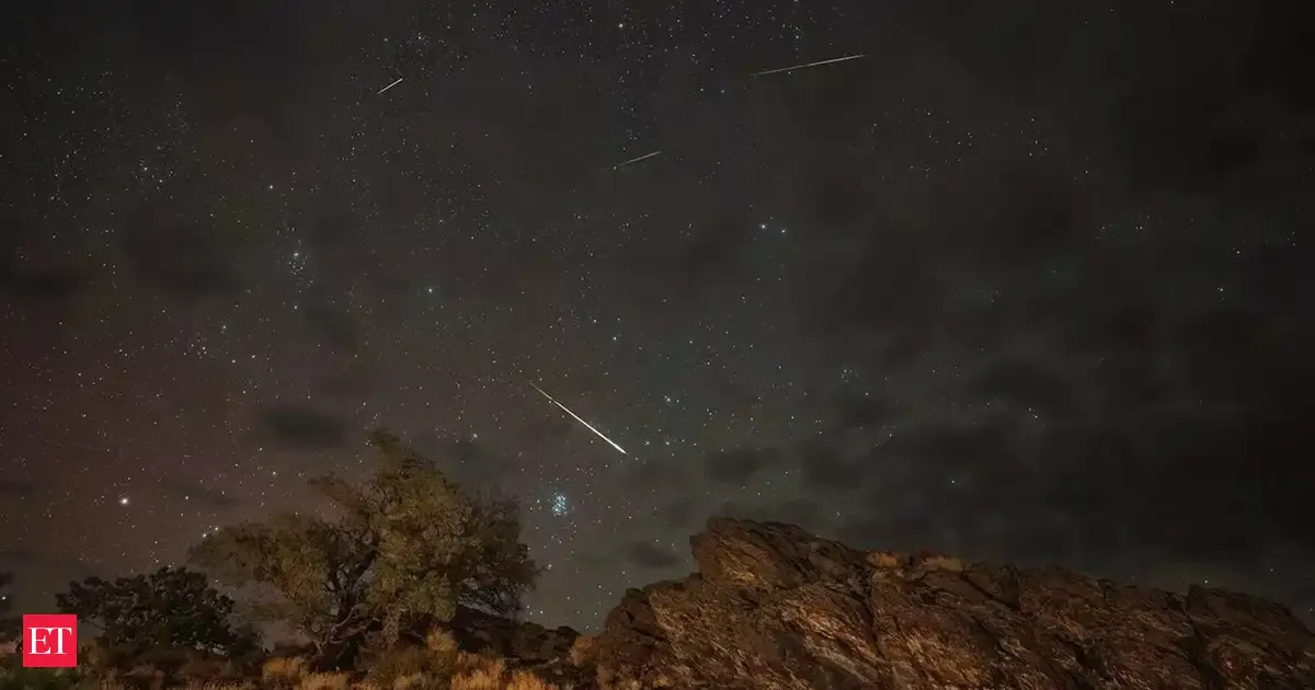 Perseids meteor shower 2025: Regions and US territories that will miss the show and what time is the meteor shower tonight