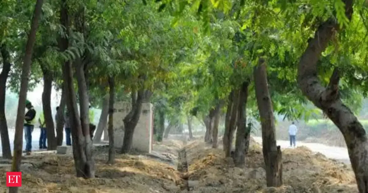 Environment needs to be protected while carrying out developmental activities: Supreme Court