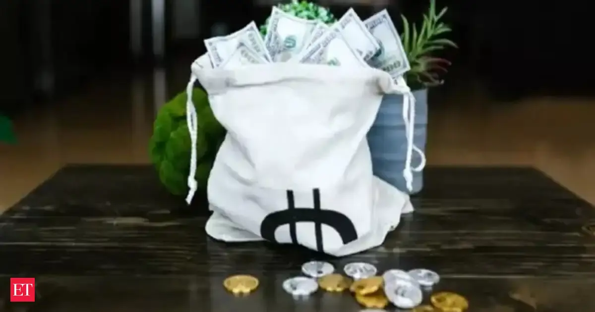 Foreign capital inflows set to rise post S&P upgrade, borrowing costs to ease: BoB Economist