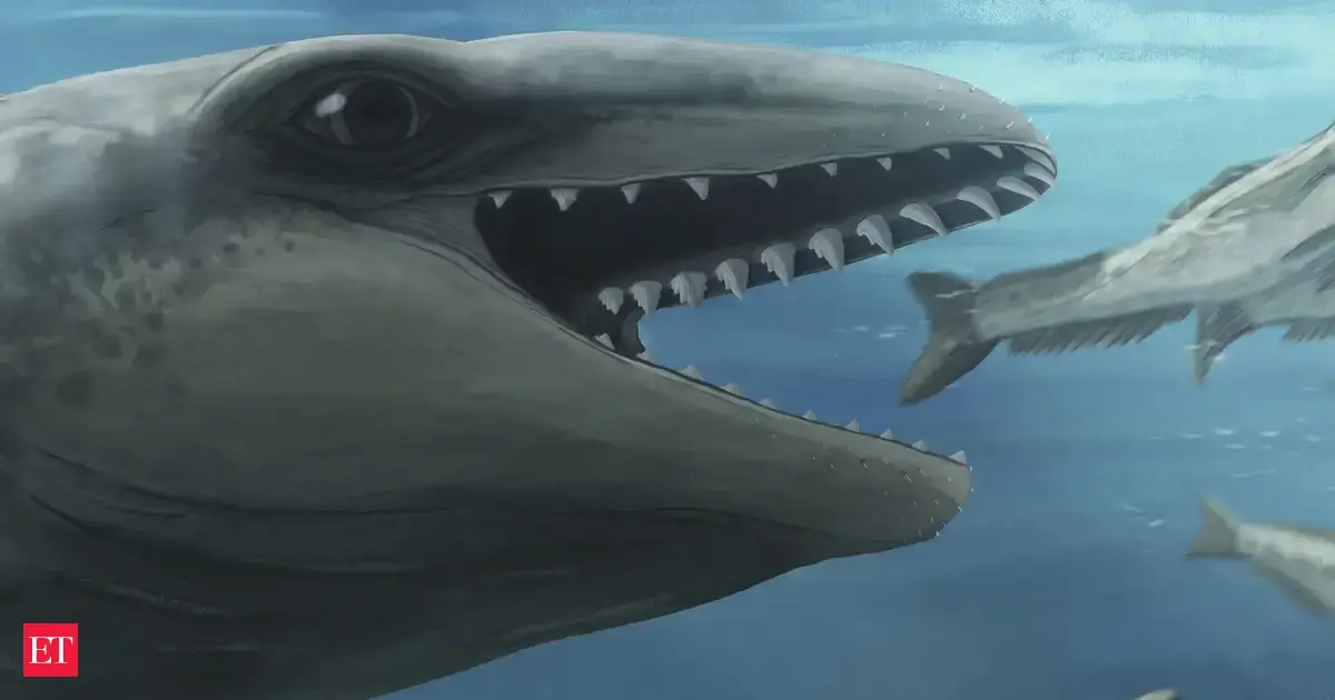 This prehistoric whale had razor teeth, bulging eyes and a face only evolution could love