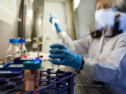 Virus has no harmful effects on humans