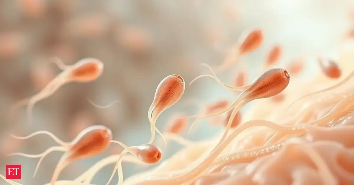 Do human sperm defy Newton’s third law? Scientists finally crack the mystery of their swim through thick fluids
