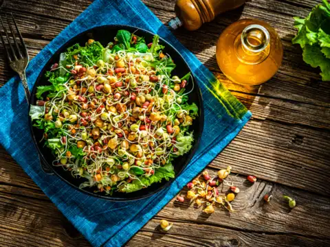 Sprouts Salad with Paneer