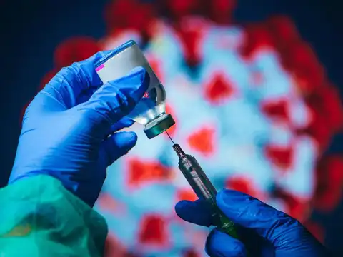 Vaccine protection against Stratus variant