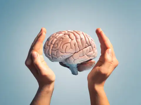 Enhances brain health