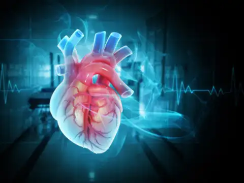 Improves heart health