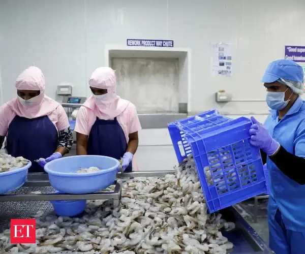 facing trump tariffs india s shrimp farmers consider switching to other businesses