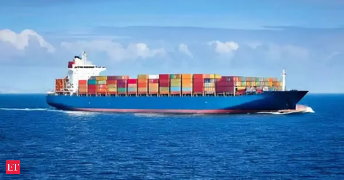 $48.2 bln of India’s goods exports to US to be subject to 50% tariffs: Govt to Parliament
