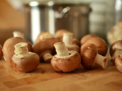 Mushrooms - Immunity shield  