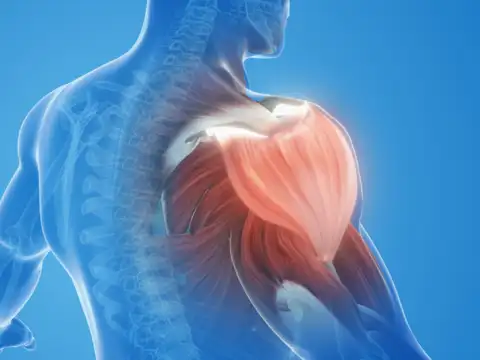 The save file inside your muscles