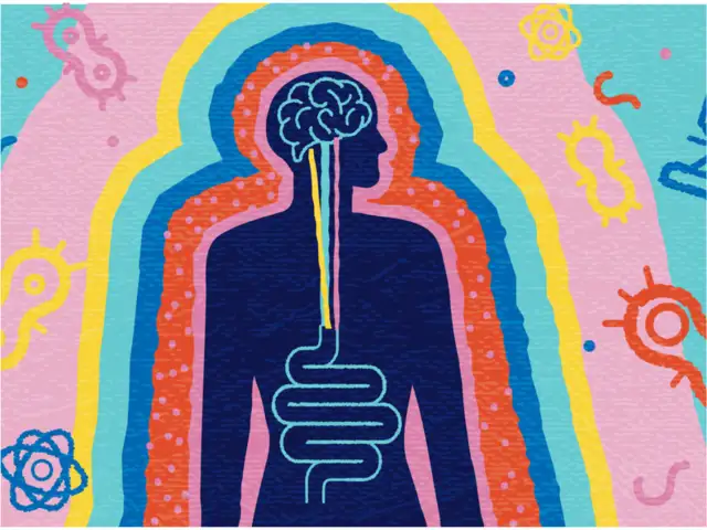 Bad life decisions? Your heart might be the reason, not your brain ...