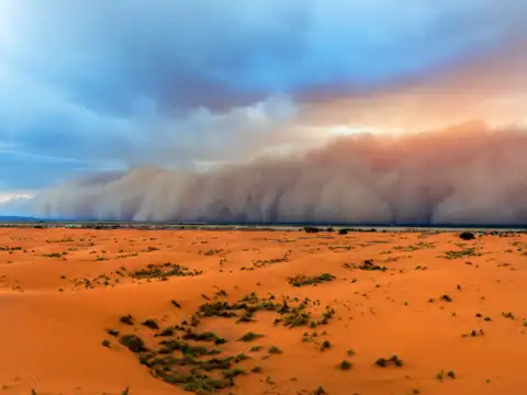Why this past warns our future