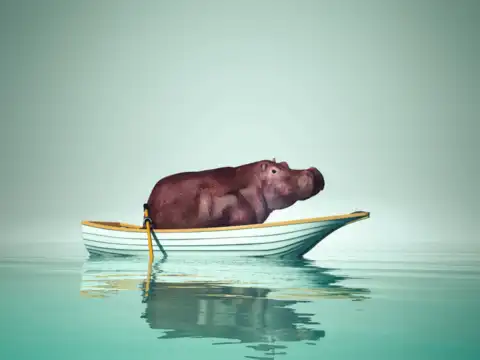 The age of oars and hippos