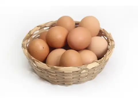 Eggs and fermented foods &mdash; vitamin D, K2, protein