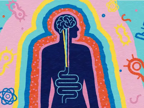 Gut health and digestion