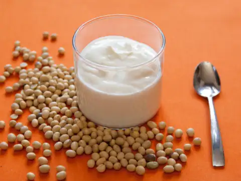 Coconut or soy yogurt