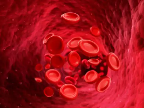 Improves blood circulation