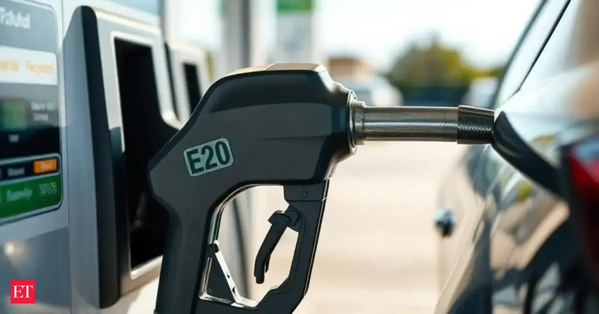 E20 Petrol Causes 2-5% Fuel Efficiency Drop: Car Experts