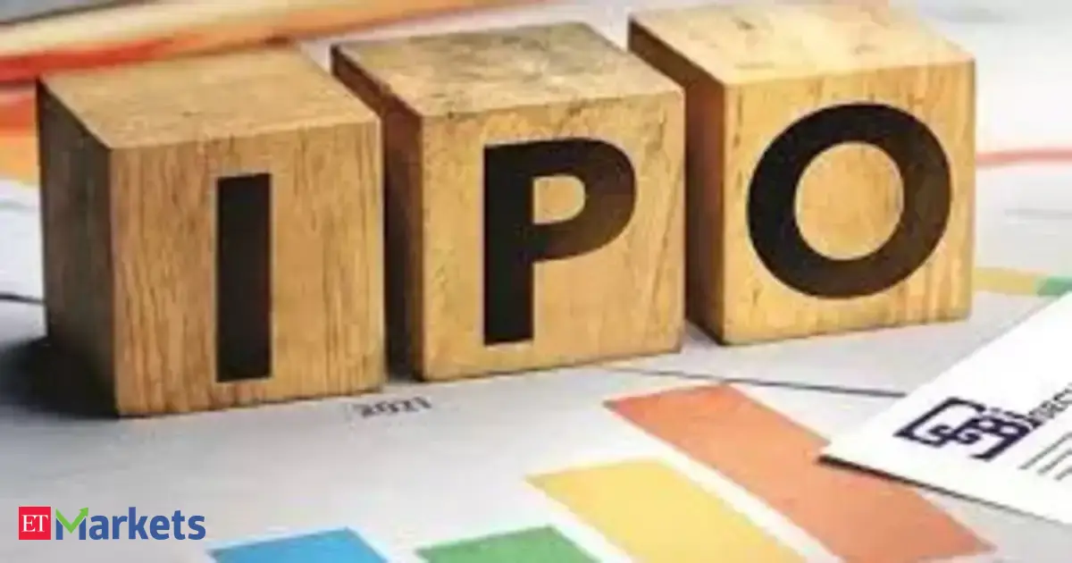 Is Vikran Engineering's IPO a risky bet with high client concentration and declining bids?