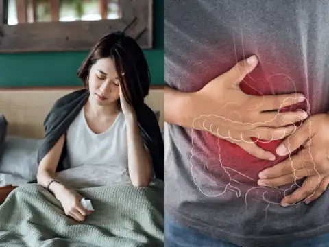 Chronic stress harms your gut